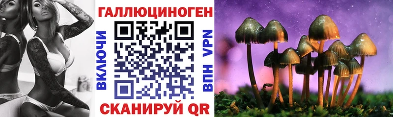 Галлюциногенные грибы Cubensis  Калач 